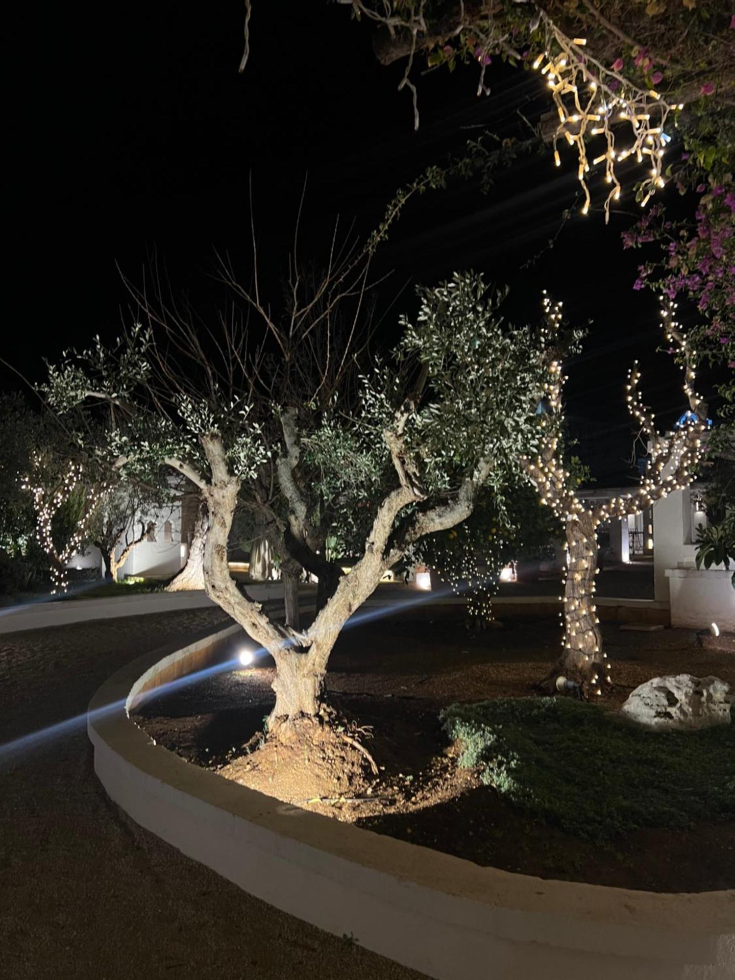 Masseriola Antiche Fogge By Apulia Hospitality Фазано Екстериор снимка